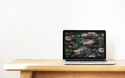 Is a Minimalist Web Design Right for You?