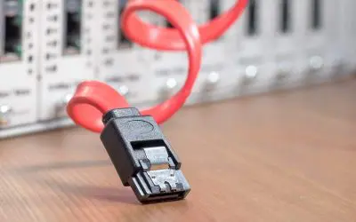 Web Hosting Options