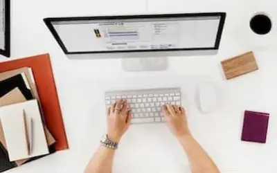 Shopify and WordPress: Can You Migrate Themes Between Platforms?