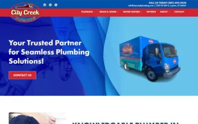 Best Plumbing Company Website Design in Layton 2026