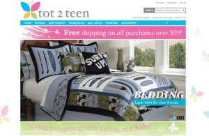 Tot 2 Teen website conversion optimization and SEO